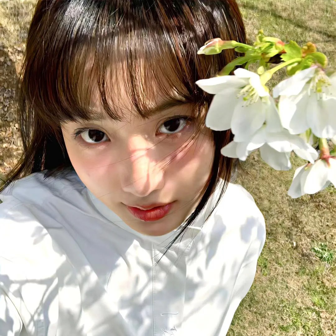 篮子里的恶魔